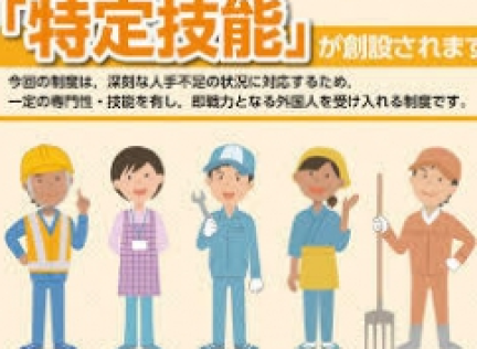 Chế độ kỹ năng đặc định tại Nhật Bản là gì?